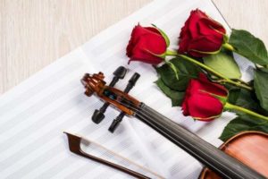 violin-rose-and-music-books