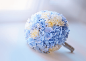 flower-blue-white