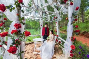 wedding-photo-nature-bride